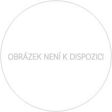 Náhled - 2016 Proof - 200 Kč Vlasta Burian