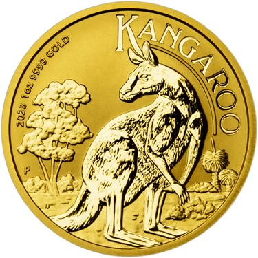 Náhled Reverzní strany - Nugget 1 Oz - Investiční zlatá mince